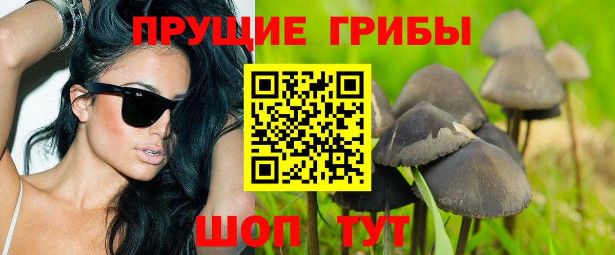 Псилоцибиновые грибы Psilocybine cubensis  Вход с VPN  Каспийск 